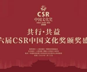 2019年度“CSR中国文化奖”寸发标获杰出贡献人物奖
