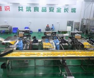 广西象州打造农产品“鲜”行驶向东盟市场